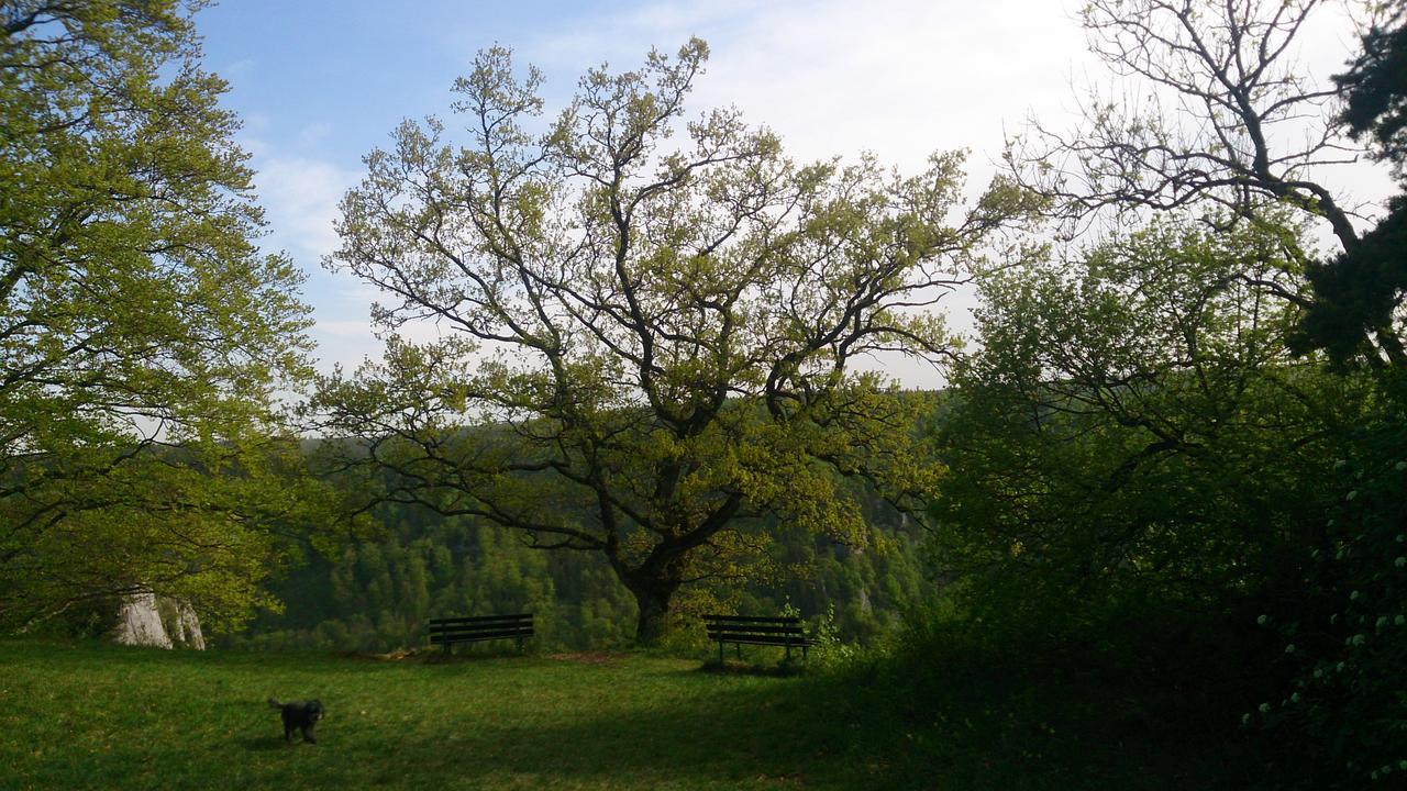 Berghaus Knopfmacher Hotel *