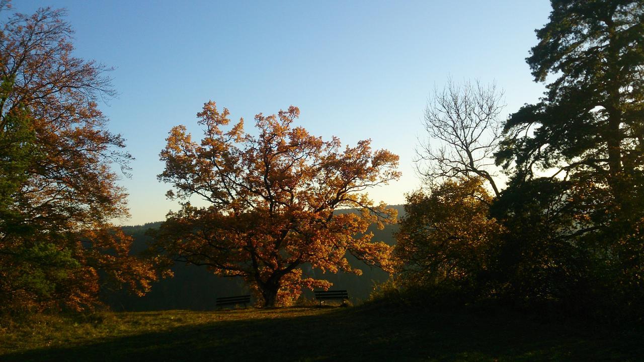 Berghaus Knopfmacher *
